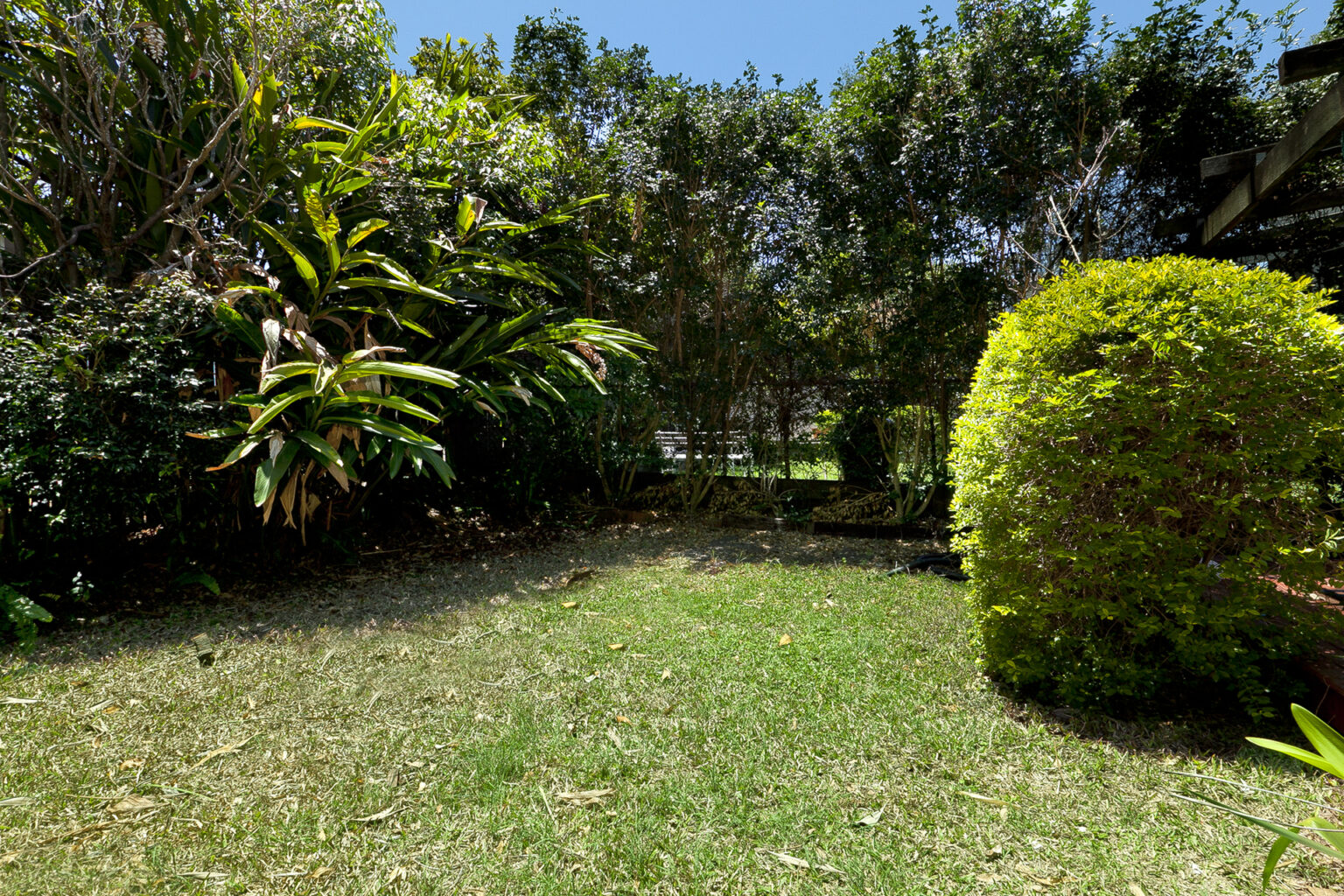 117 Lower Cairns Terrace, Paddington, QLD 4064 AUS