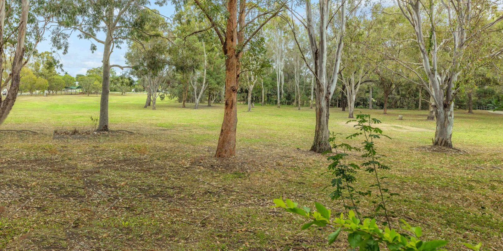 88 Newman Road, Wavell Heights, QLD 4012 AUS